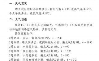 武汉江夏区天气预报,精准预测与生活指南-气象服务解析