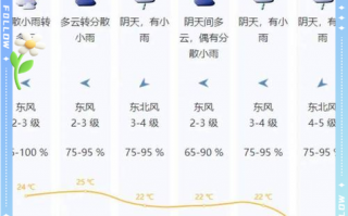 深圳罗湖天气预报：精准气象数据与生活指南