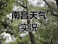 南昌30天天气预报：精准气象分析与生活指南