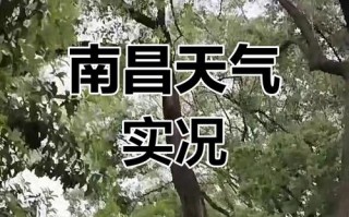 南昌30天天气预报：精准气象分析与生活指南
