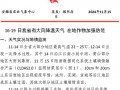 惠农区天气预报精准指南：农业防灾与生活出行全解析
