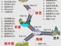 沧源天气预报,气候特征解析-精准掌握出行指南