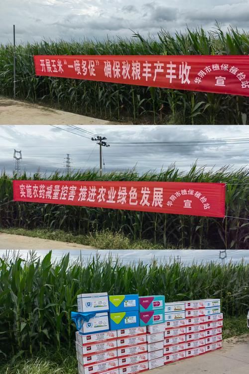 惠农区天气预报精准指南:农业防灾与生活出行全解析-第2张图片-123天气 惠农区天气预报精准指南:农业防灾与生活出行全解析-第2张图片-123天气