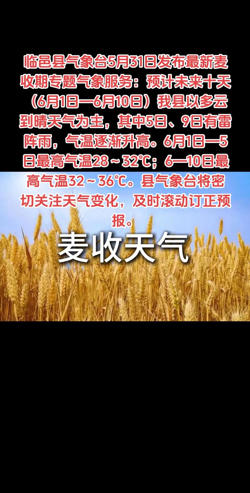 德州临邑天气预报15天查询:精准气象分析与生活指南-第2张图片-123天气 德州临邑天气预报15天查询:精准气象分析与生活指南-第2张图片-123天气