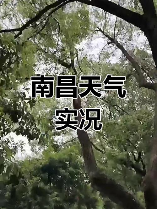南昌30天天气预报:精准气象分析与生活指南-第1张图片-123天气 南昌30天天气预报:精准气象分析与生活指南-第1张图片-123天气